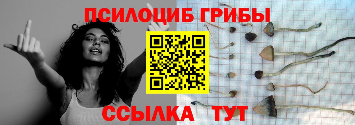 Псилоцибиновые грибы ЛСД Саров